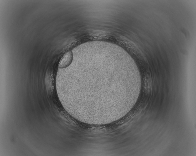 X0000111251346200907301318