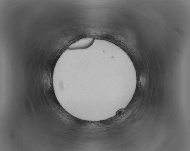 X0000111251348200907301318