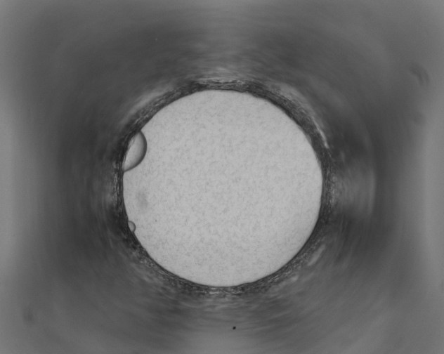 X0000111251350200907301318