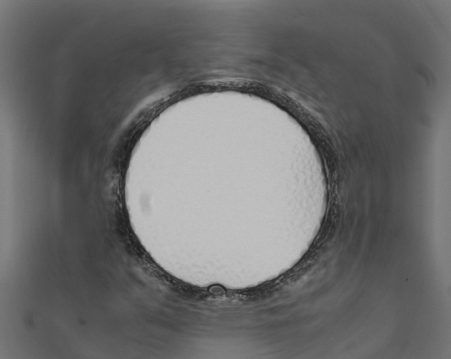 X0000111251351200907301318