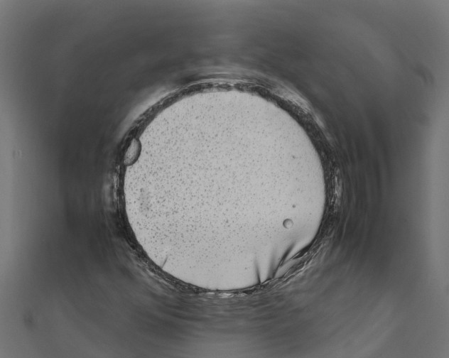 X0000111251352200907301318