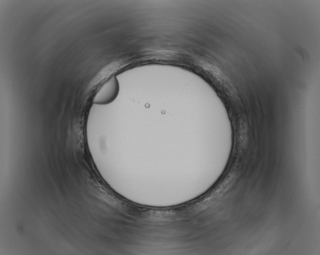 X0000111251354200907301318