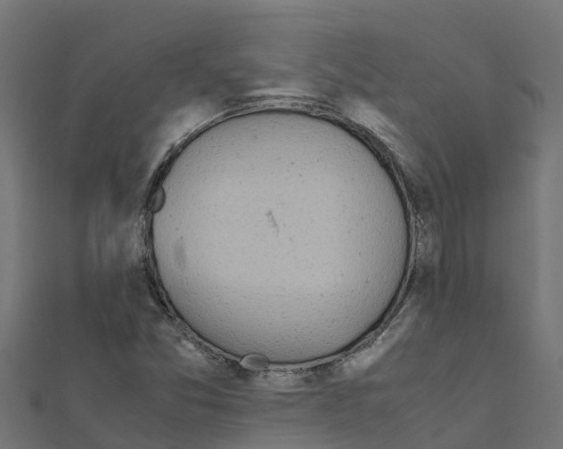 X0000111251357200907301318