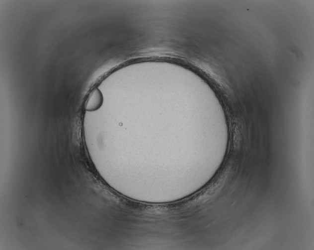 X0000111251358200907301318