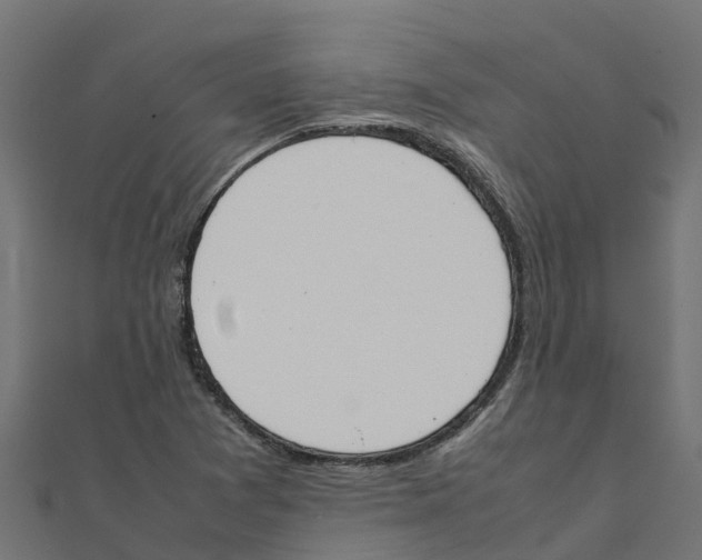 X0000111251361200907301318