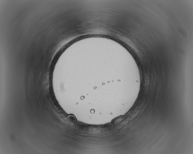 X0000111251364200907301318