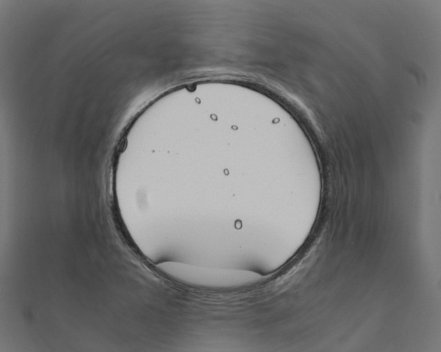 X0000111251365200907301318