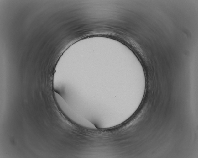 X0000111251369200907301318