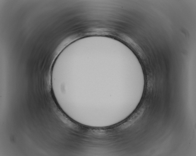 X0000111251370200907301318