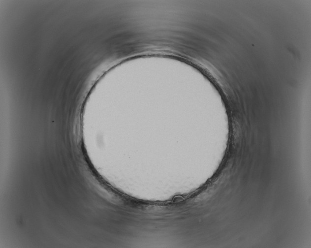 X0000111251371200907301318