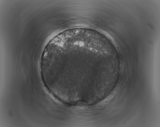 X0000111251373200907301318