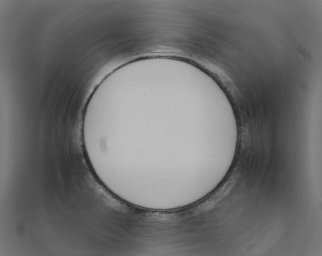 X0000111251374200907301318