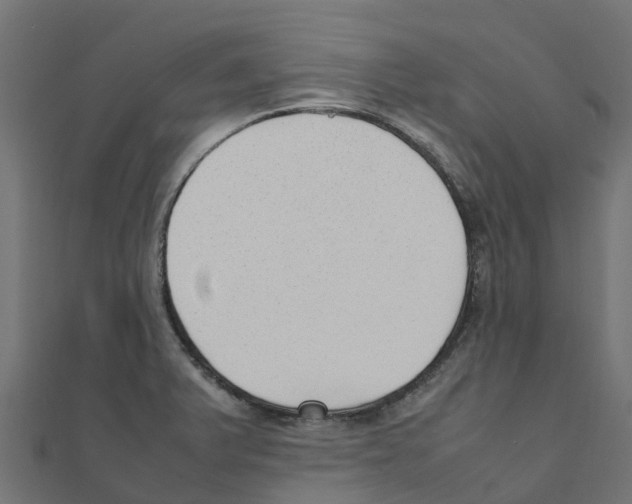 X0000111251375200907301318