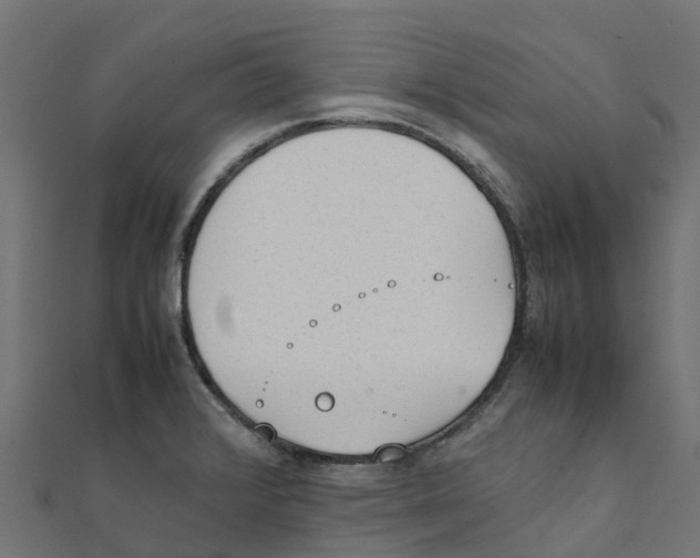 X0000111251376200907301318