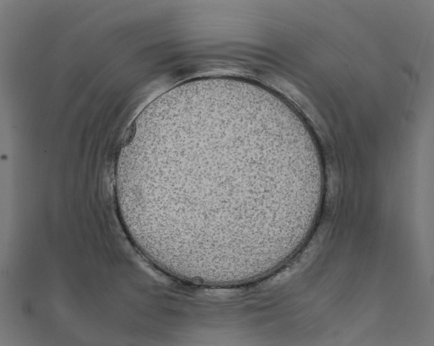 X0000111251377200907301318