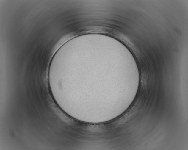 X0000111251378200907301318