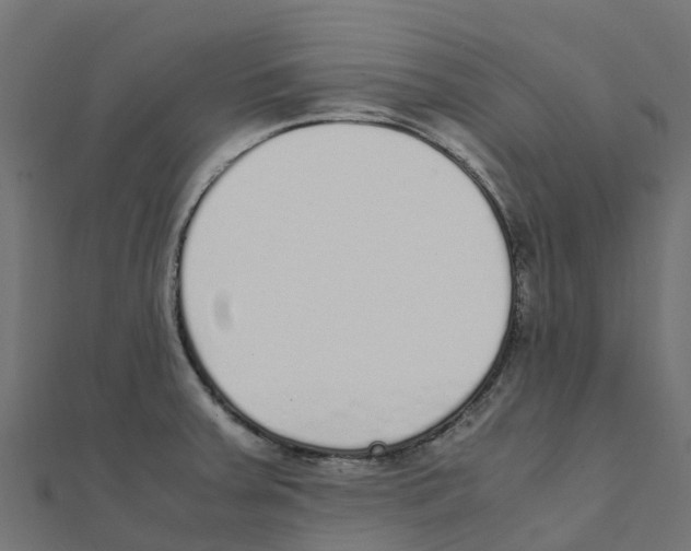 X0000111251379200907301318