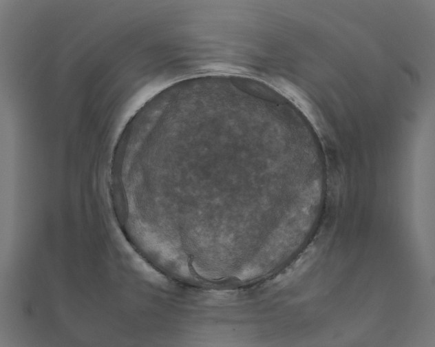 X0000111251381200907301318