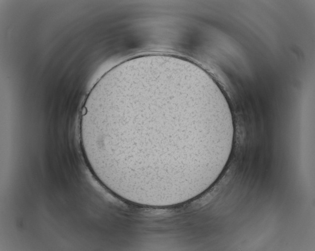 X0000111251382200907301318