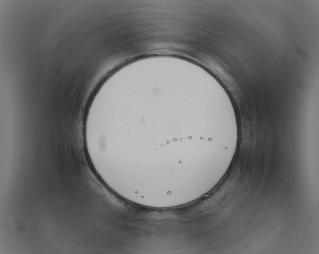 X0000111251384200907301318