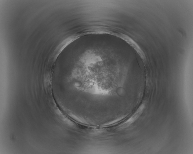 X0000111251385200907301318