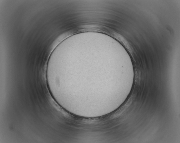 X0000111251386200907301318