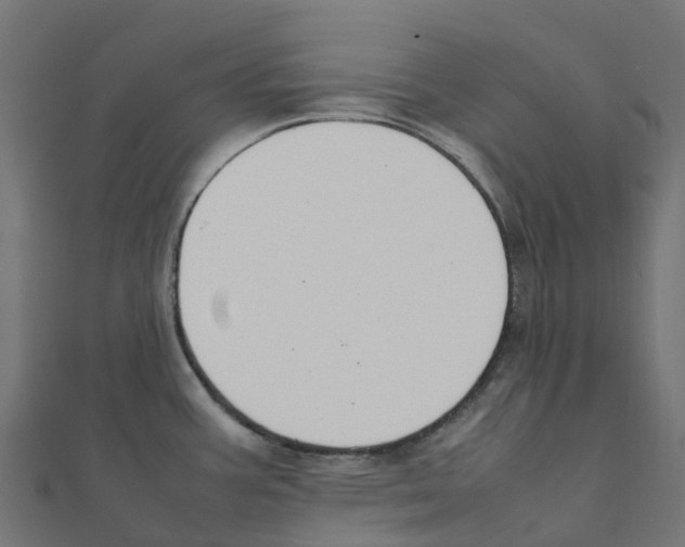 X0000111251387200907301318