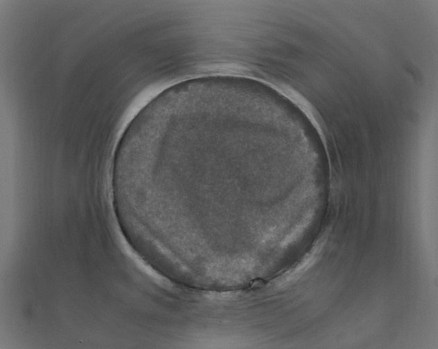 X0000111251389200907301318