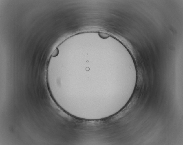 X0000111251390200907301318