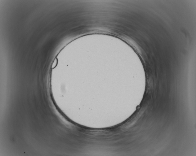 X0000111251391200907301318