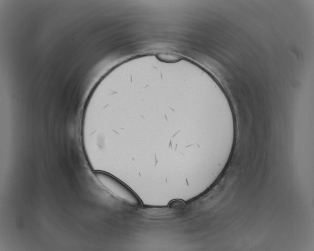 X0000111251392200907301318