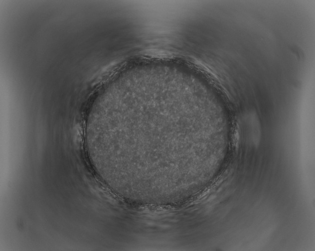 X0000111251397200907301317