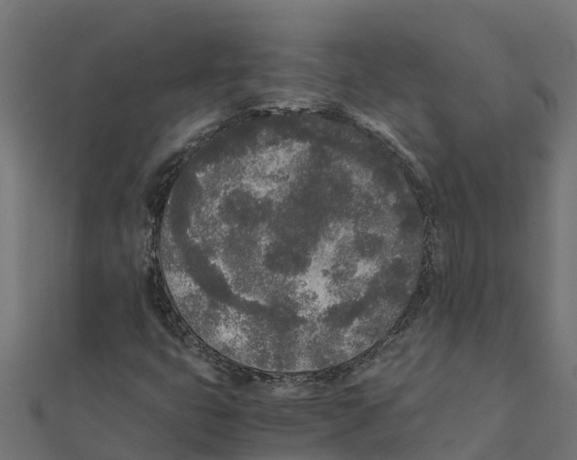 X0000111251399200907301317