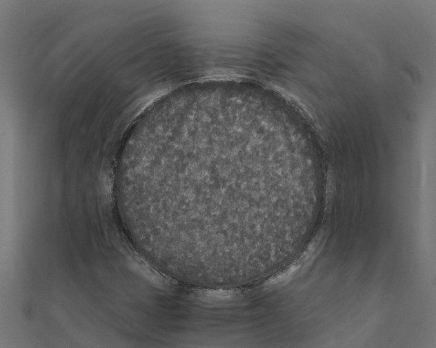 X0000111251401200907301317