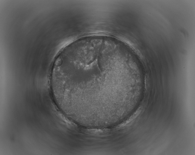 X0000111251405200907301317