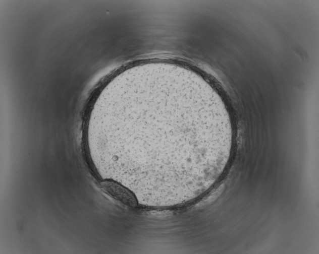 X0000111251406200907301317