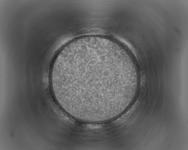 X0000111251407200907301317