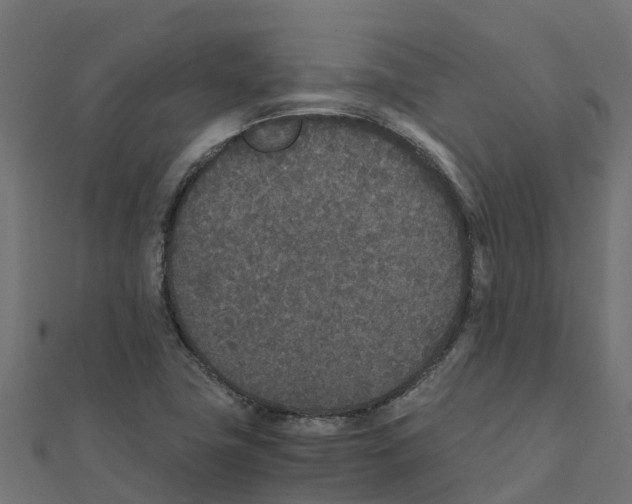 X0000111251411200907301317