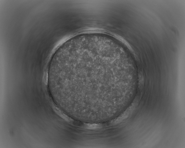 X0000111251413200907301317