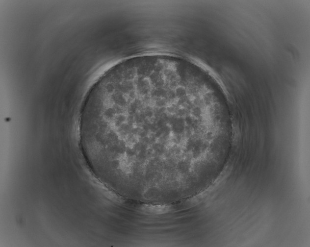 X0000111251415200907301317