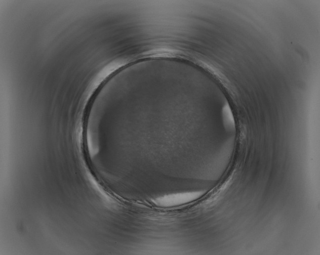 X0000111251418200907301317