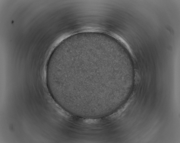 X0000111251419200907301317