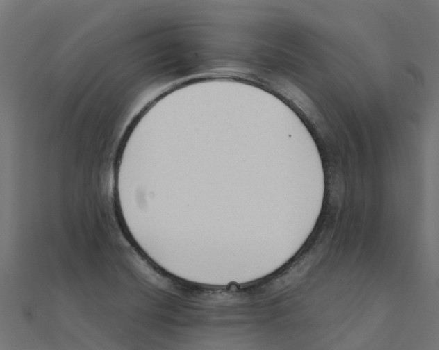 X0000111251420200907301317