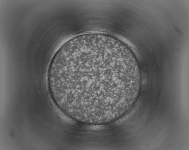 X0000111251423200907301318