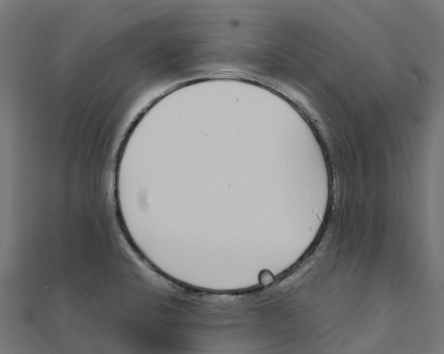 X0000111251424200907301318