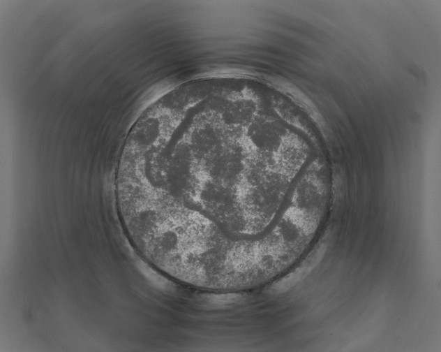 X0000111251425200907301318