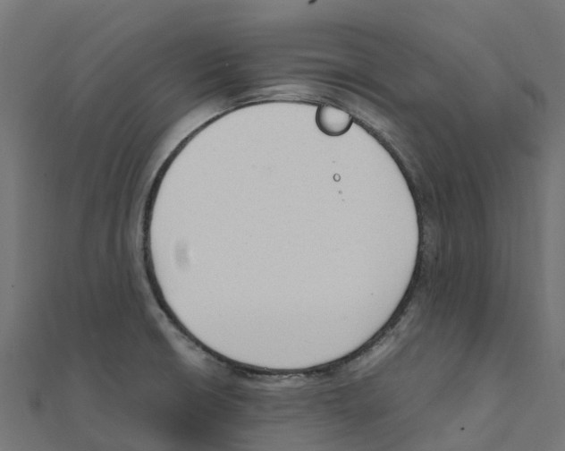 X0000111251426200907301318