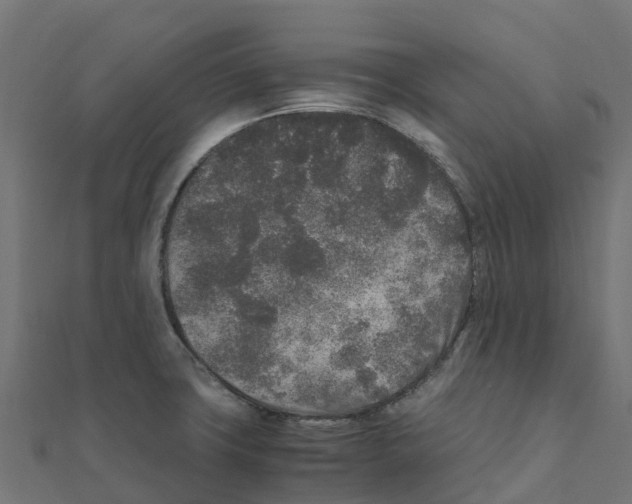 X0000111251427200907301318