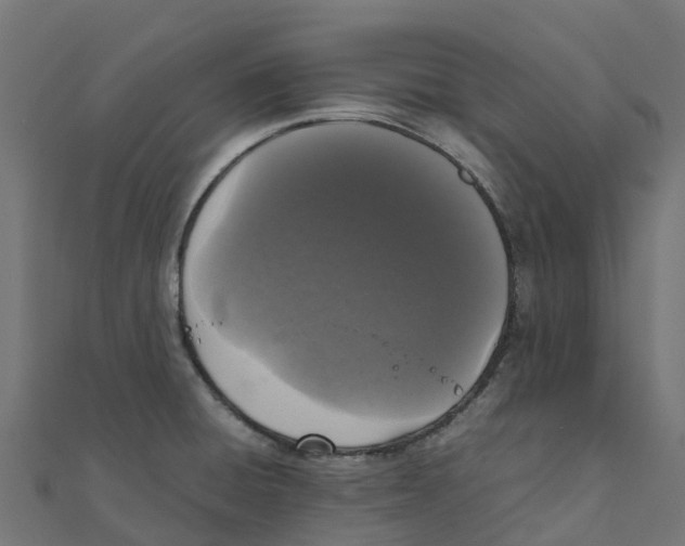 X0000111251428200907301318