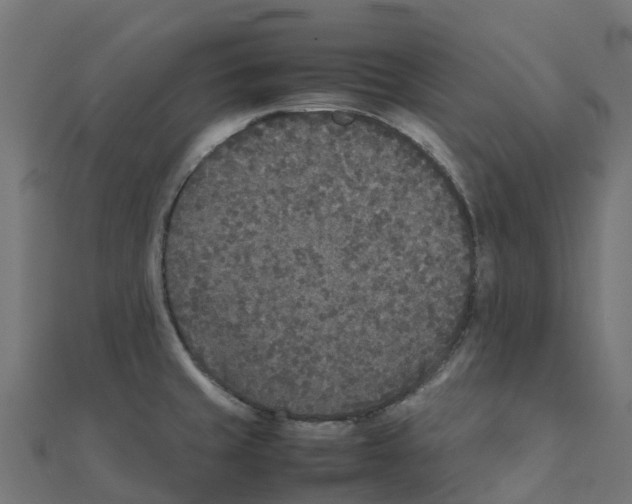 X0000111251429200907301318